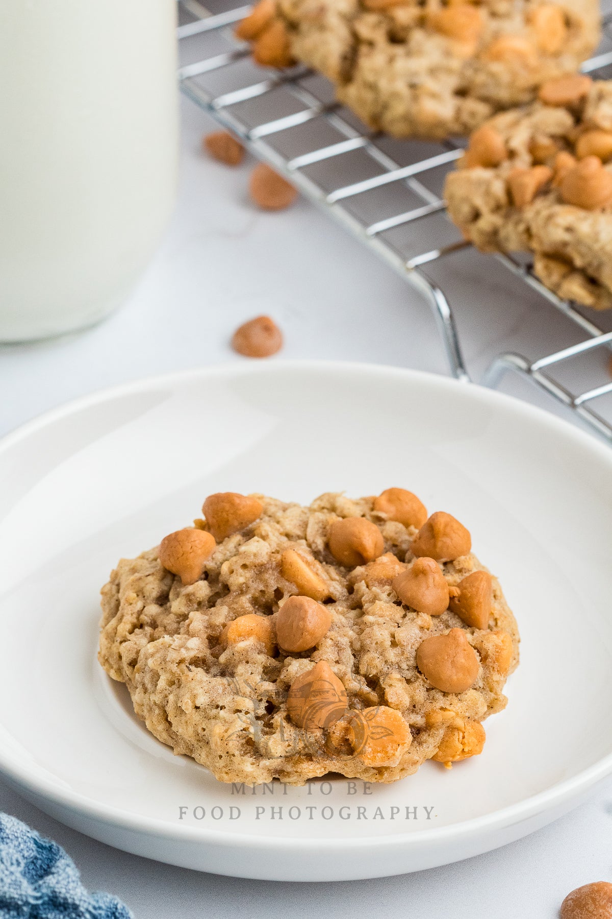Oatmeal Scotchies (Exclusive)