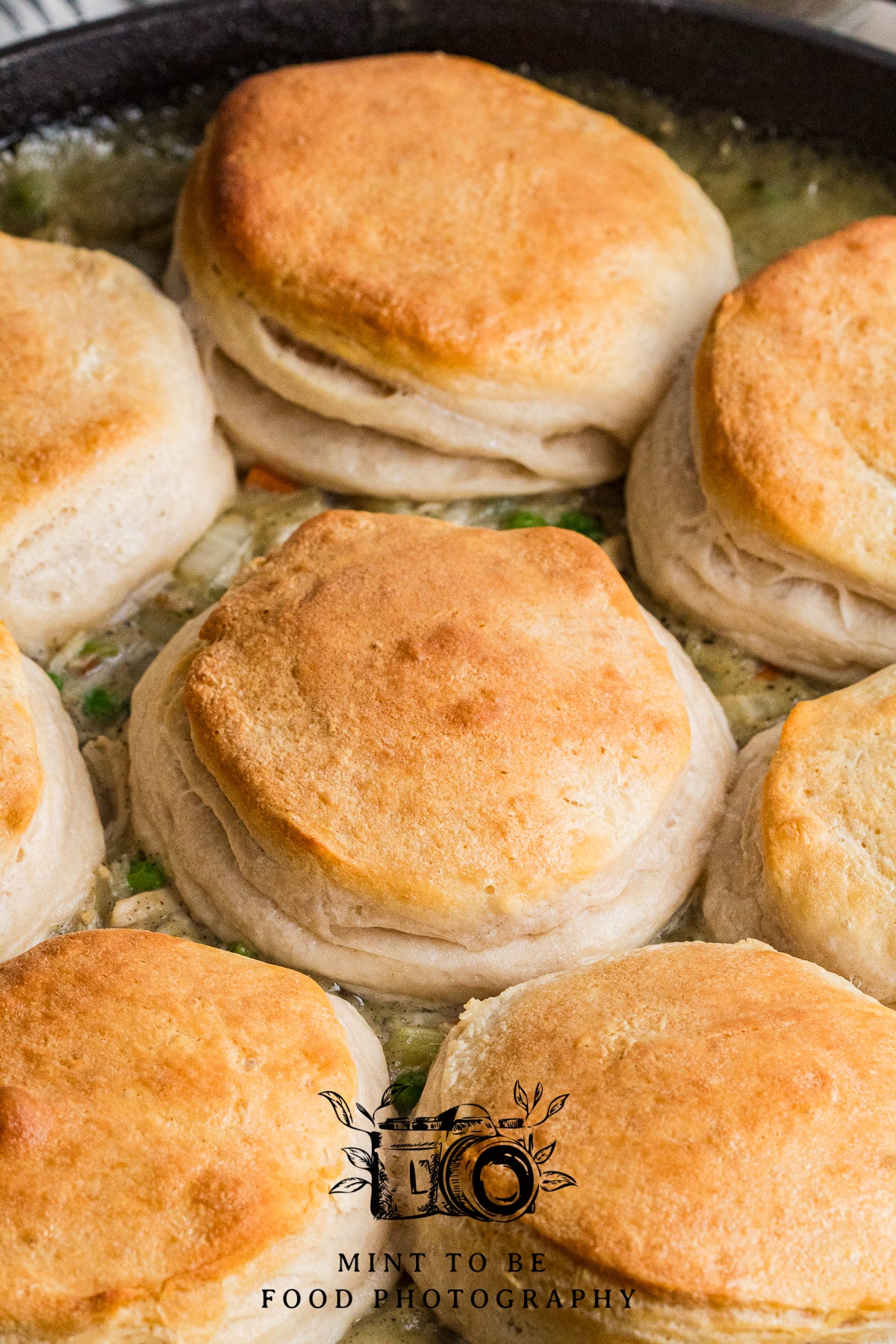 Chicken Pot Pie with Biscuit Topping (Exclusive)