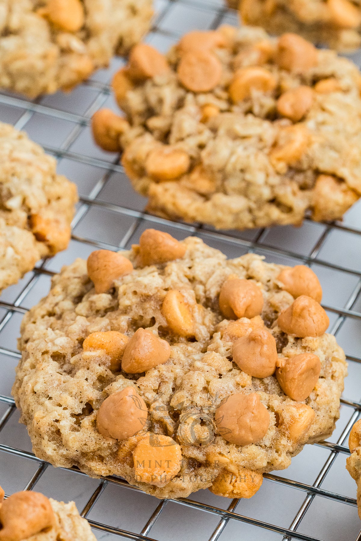 Oatmeal Scotchies (Exclusive)