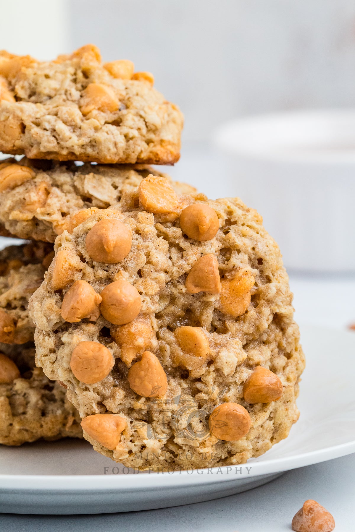 Oatmeal Scotchies (Exclusive)